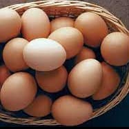 dassi egg 1